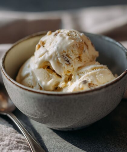 Low Fat Dairy Free Ice Cream Recipe