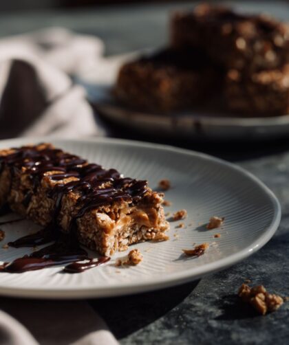 Low Fat Protein Bars