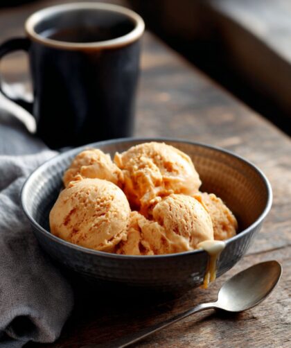 Pumpkin Pie Ice Cream Recipe